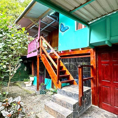 Hidden Jungle Beach House Puerto Viejo de Talamanca Exteriér fotografie