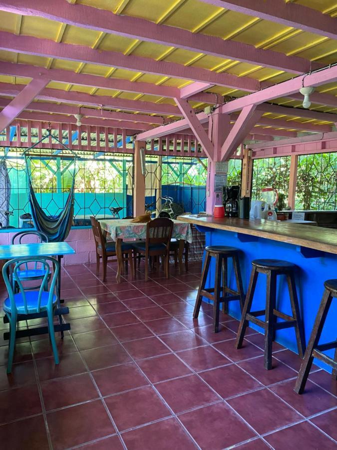 Hidden Jungle Beach House Puerto Viejo de Talamanca Exteriér fotografie