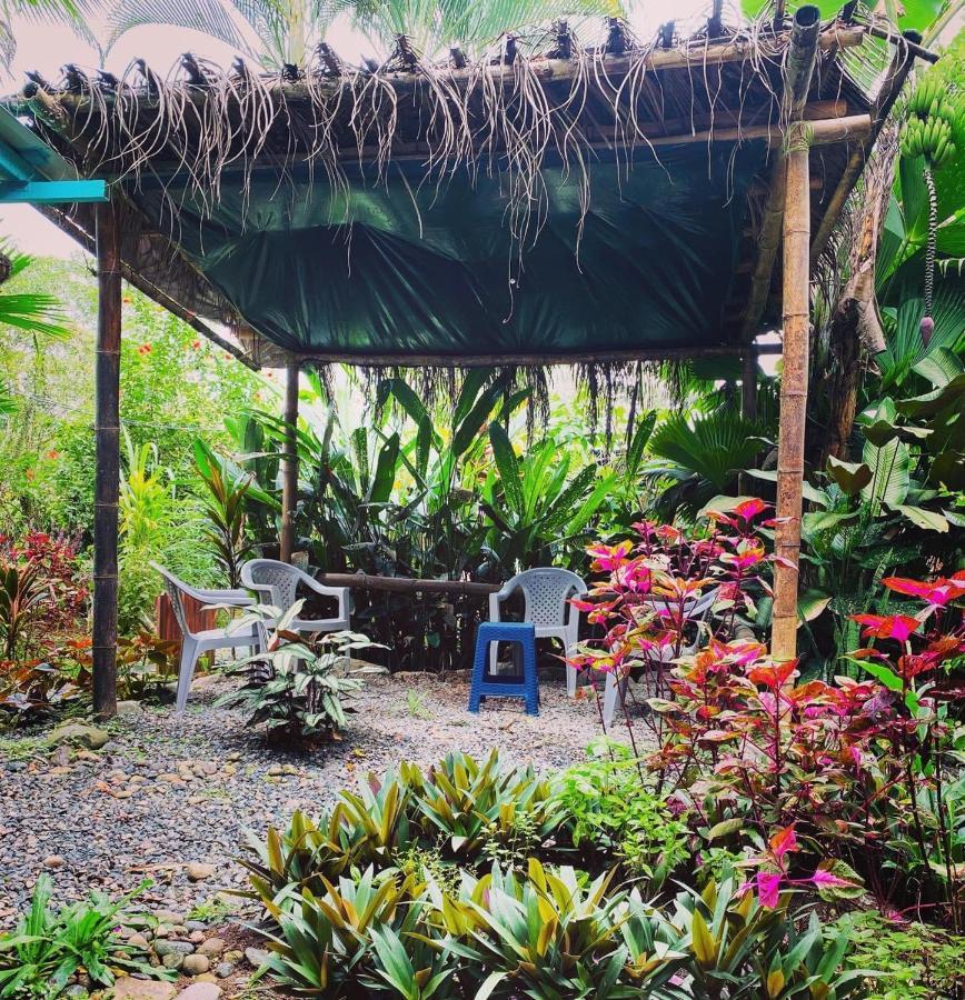 Hidden Jungle Beach House Puerto Viejo de Talamanca Exteriér fotografie