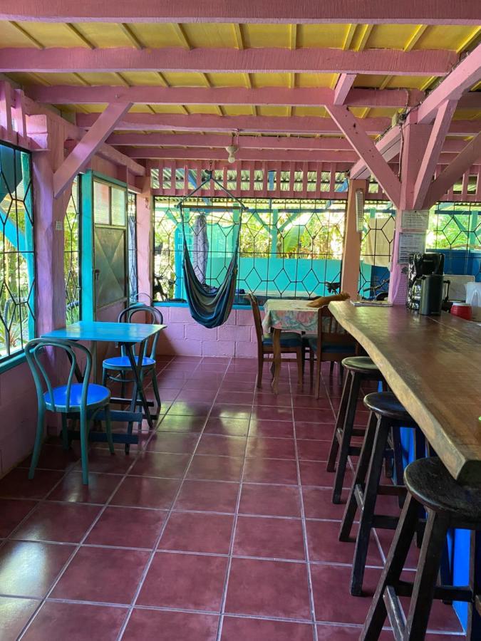 Hidden Jungle Beach House Puerto Viejo de Talamanca Exteriér fotografie