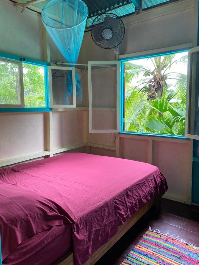 Hidden Jungle Beach House Puerto Viejo de Talamanca Exteriér fotografie