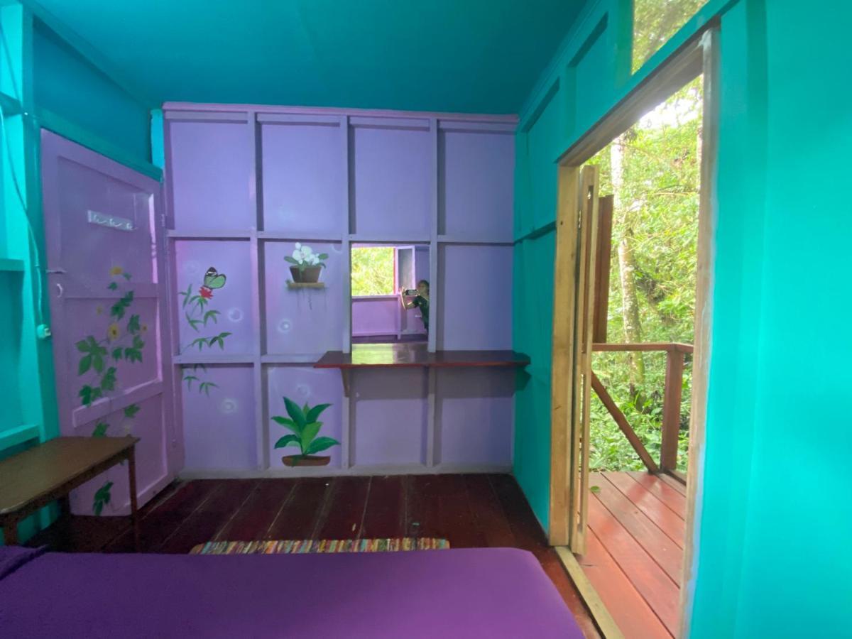 Hidden Jungle Beach House Puerto Viejo de Talamanca Exteriér fotografie