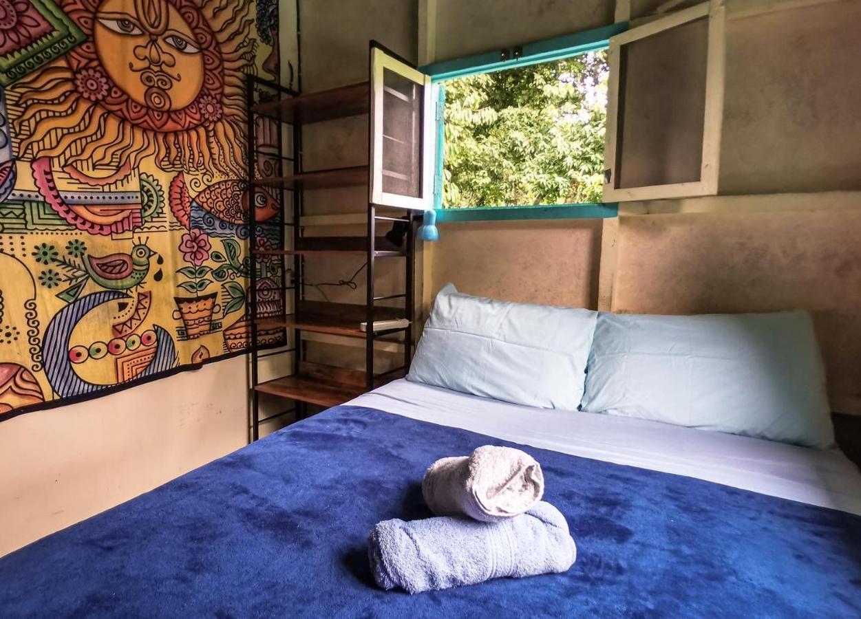 Hidden Jungle Beach House Puerto Viejo de Talamanca Exteriér fotografie