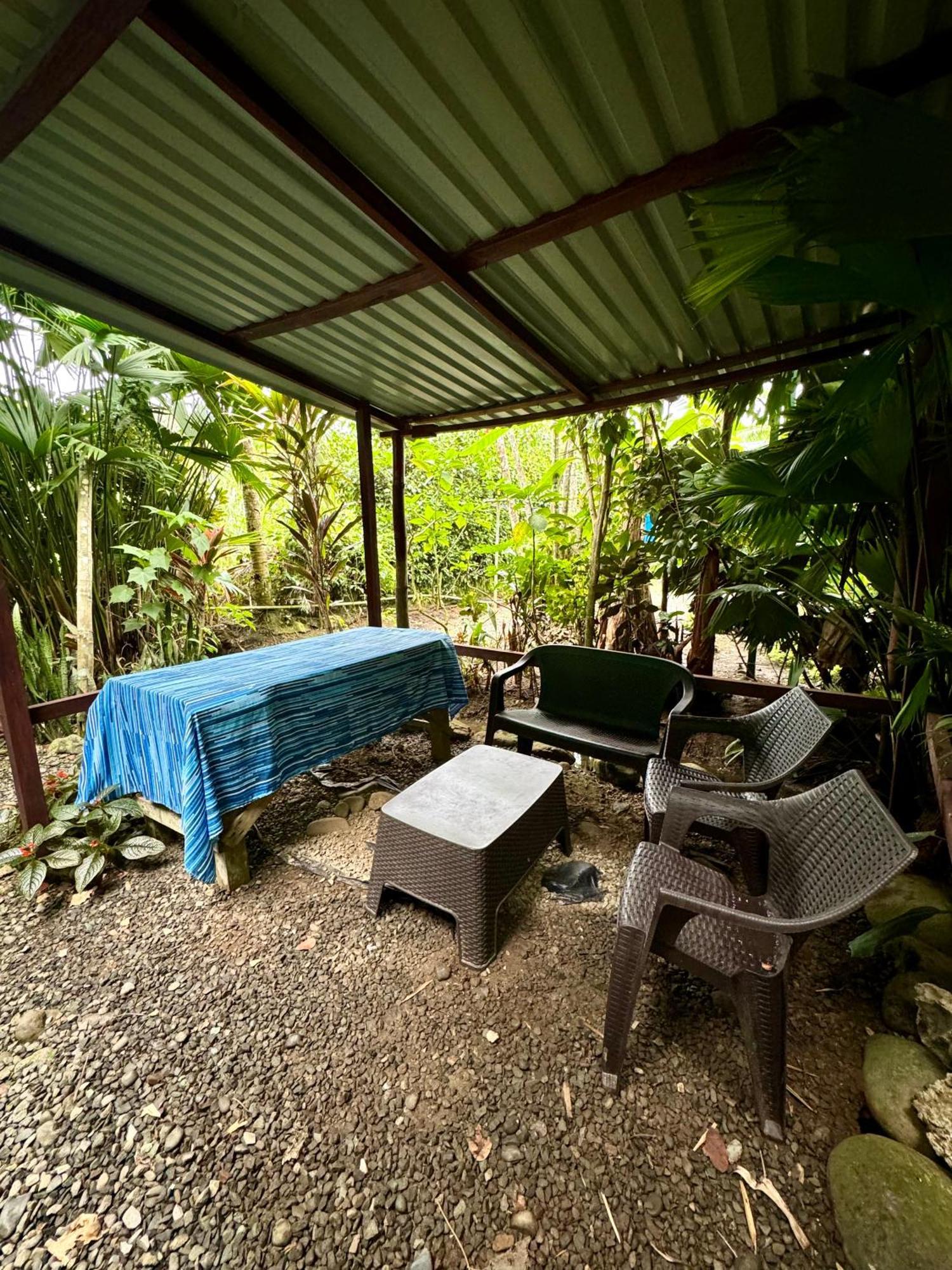 Hidden Jungle Beach House Puerto Viejo de Talamanca Exteriér fotografie