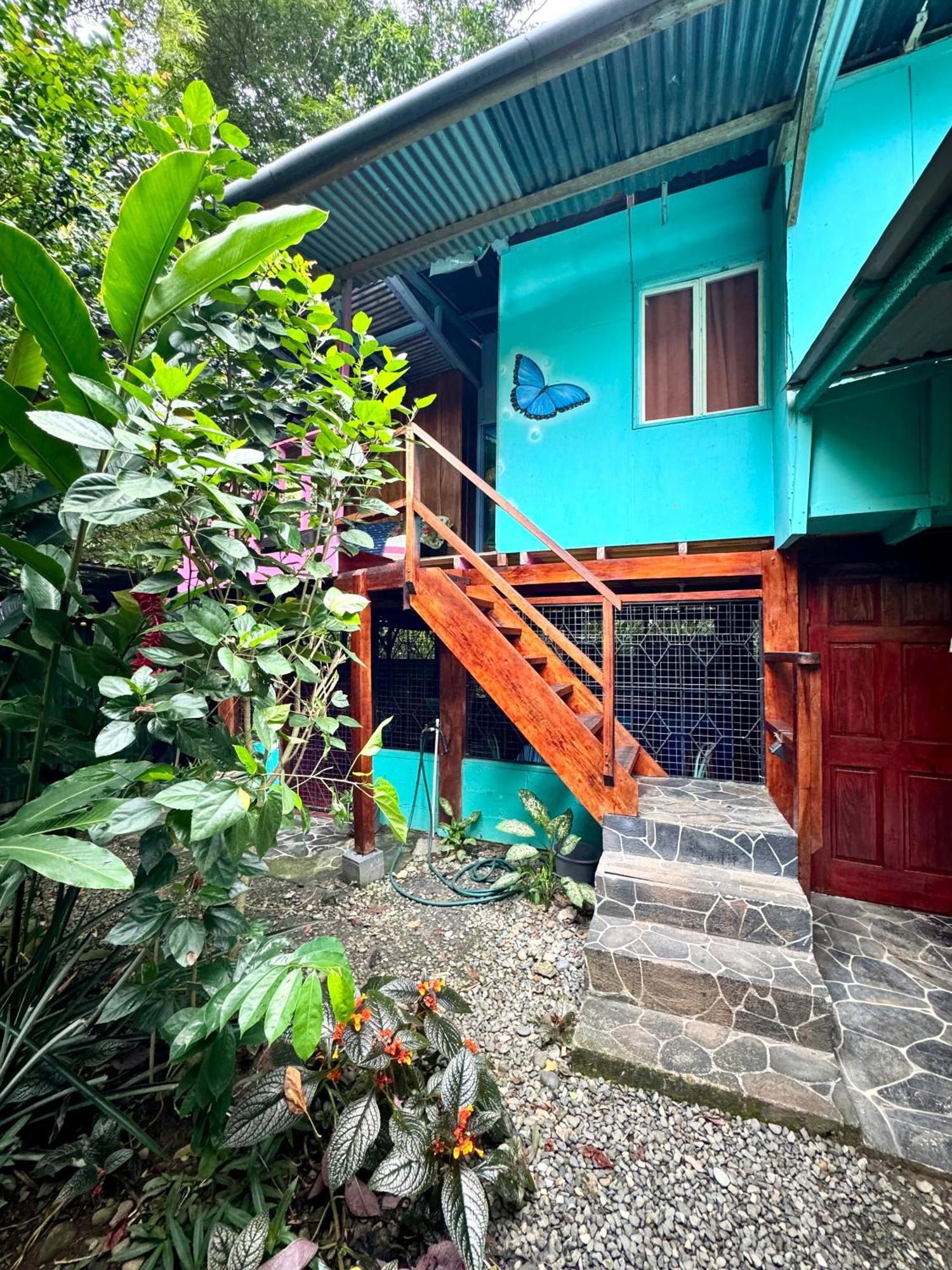 Hidden Jungle Beach House Puerto Viejo de Talamanca Exteriér fotografie
