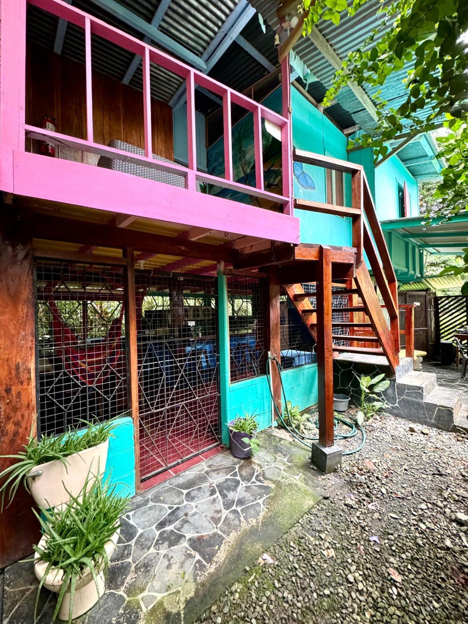 Hidden Jungle Beach House Puerto Viejo de Talamanca Exteriér fotografie